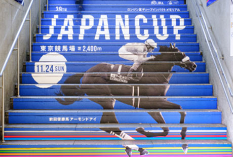 JRA<br> 『ジャパンカップ』 2019